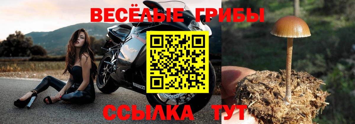 Галлюциногенные грибы ЛСД Псков