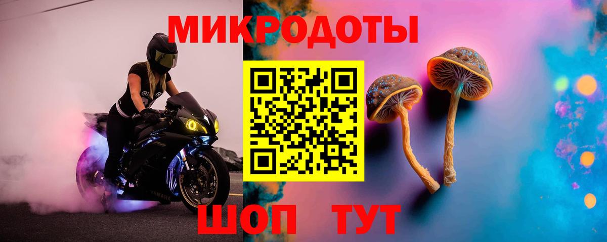 ГАШ Псков